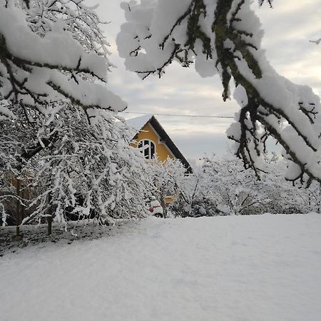 Villa Biohof Koller Weichselbaum Esterno foto