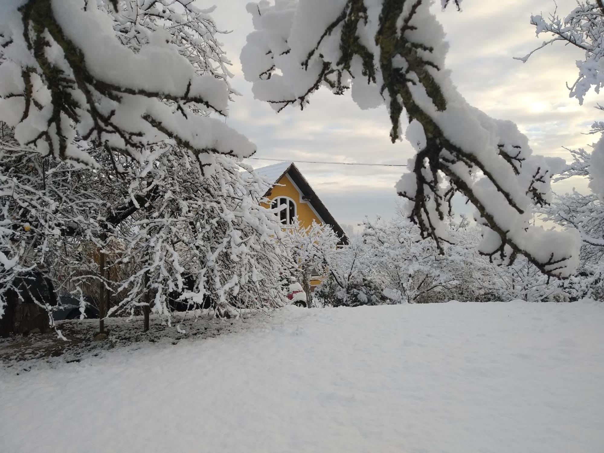 Villa Biohof Koller Weichselbaum Esterno foto