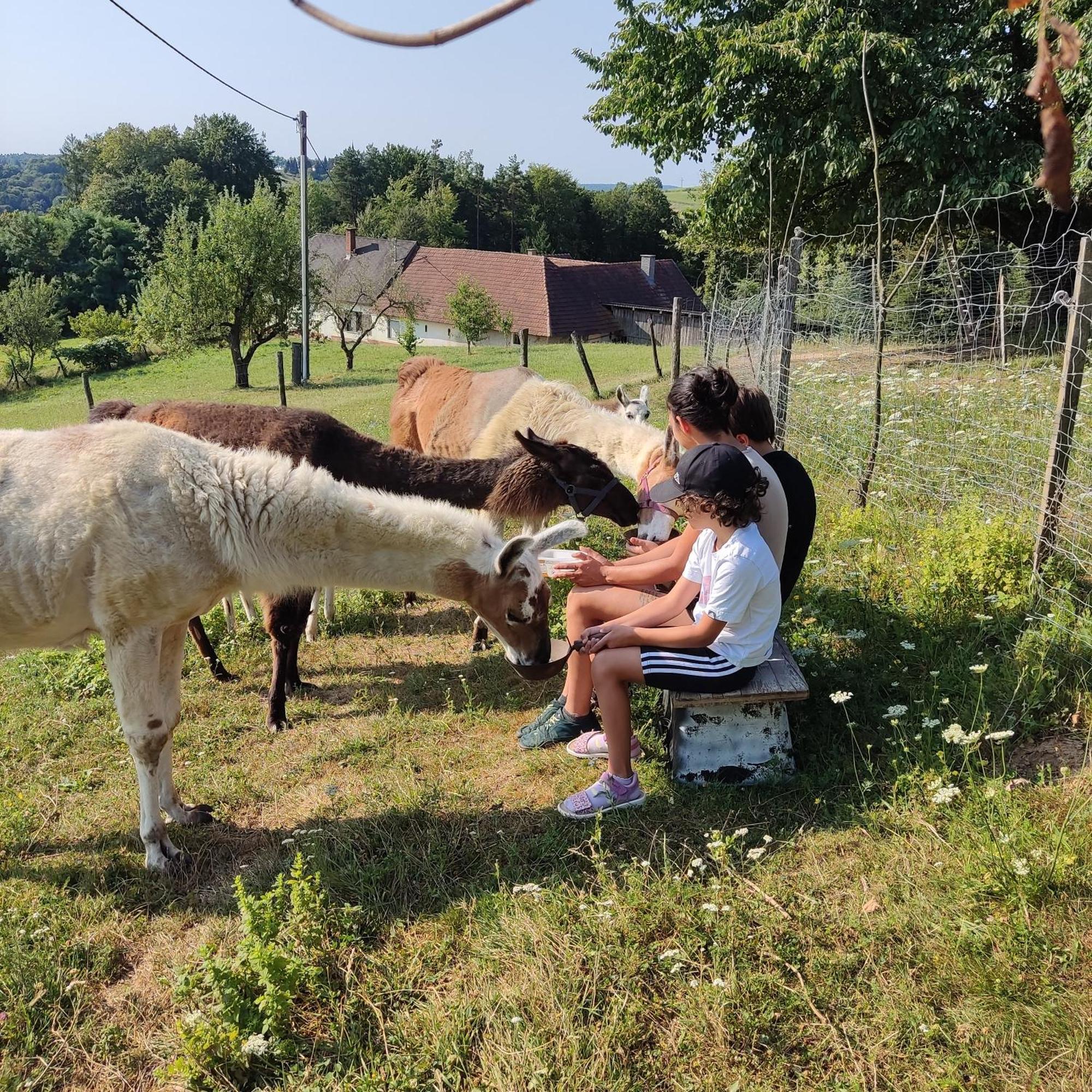 Villa Biohof Koller Weichselbaum Esterno foto