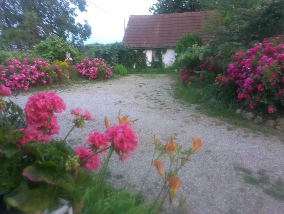 Villa Biohof Koller Weichselbaum Esterno foto